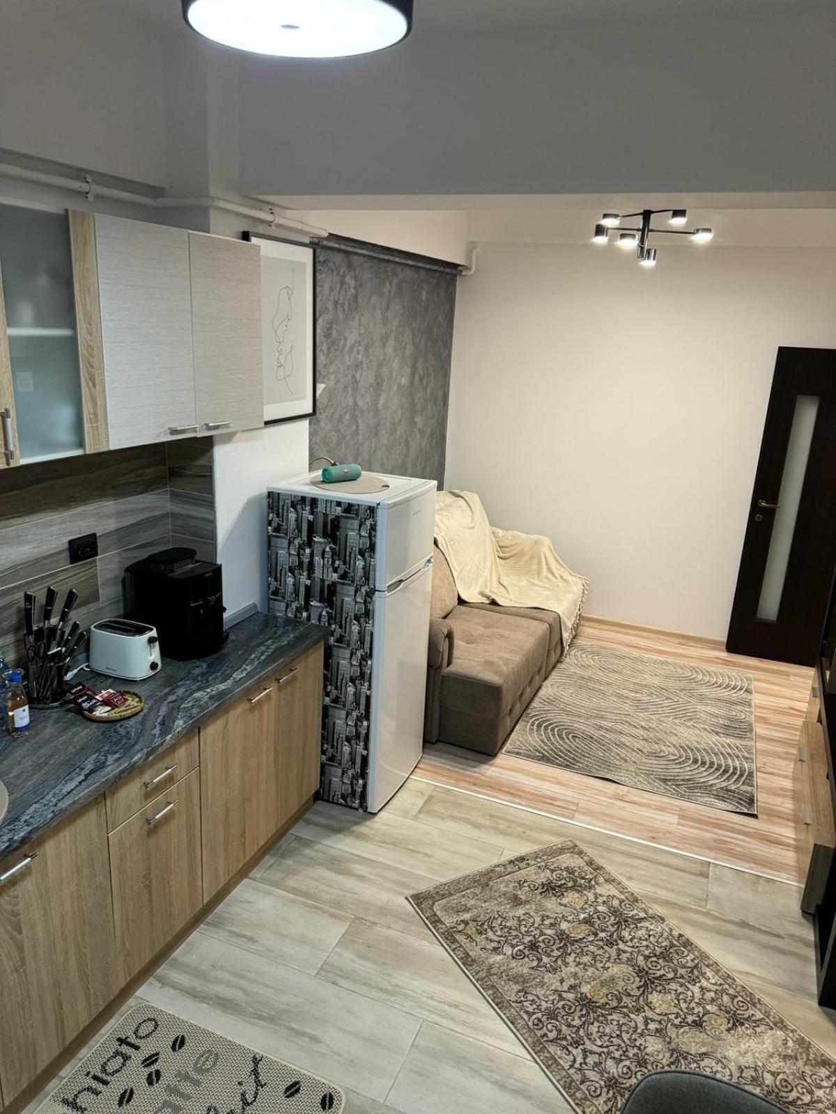 Luxury Young Residence Iasi Extérieur photo